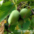 a723cd44bec7aff2c8ed7c3b5d17bb7f