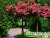 image_8165532_16154492