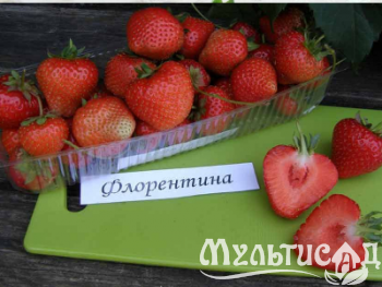 image_7681564_15015474