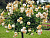 image_8255520_16817402