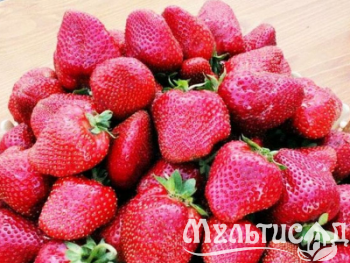image_7681564_15012250
