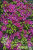 1b25044d40f9e67cb9c349bb6eccf2f1
