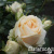 6045c57a10ccdf8452d8d3e29165a5f9 6045c57a10ccdf8452d8d3e29165a5f9