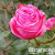 a6e643a51fb60b177c8083fe3781d6d5 a6e643a51fb60b177c8083fe3781d6d5