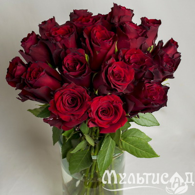 8520894f7d4904f1d862cec491b07323