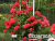 image_8165532_16155625