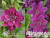 image_7681564_14978654