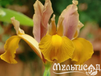 Креатив без названия (10)