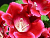 image_8096768_16080475